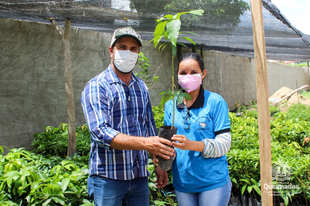 Programa Quintal Produtivo promove distribuição de mudas frutíferas para a população queimadense